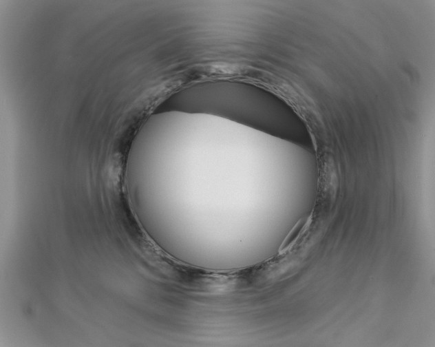 X0000113020328200908271039