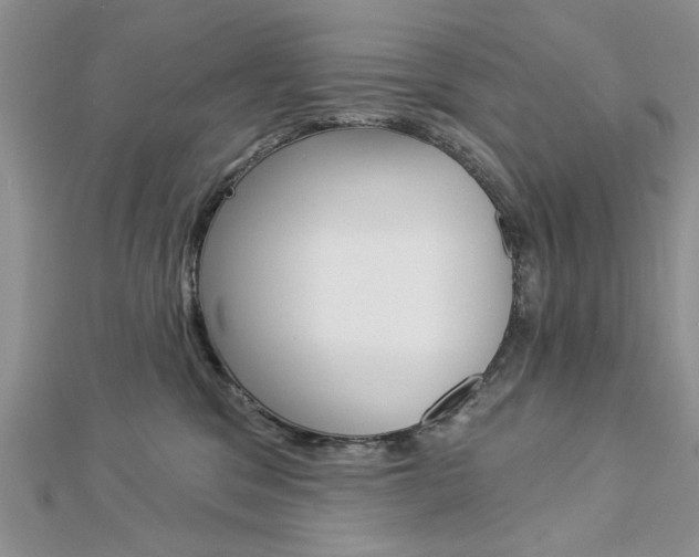 X0000113020329200908271039