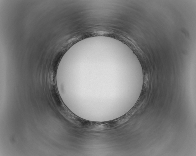 X0000113020330200908271039