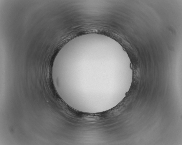 X0000113020331200908271039