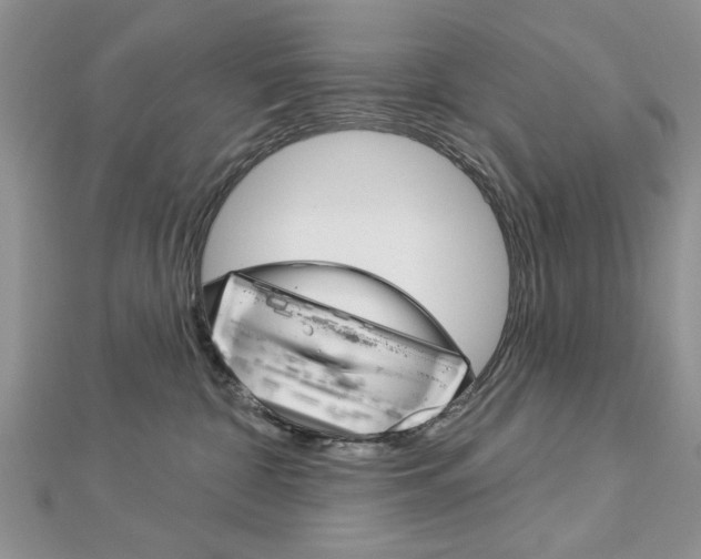 X0000113020332200908271039