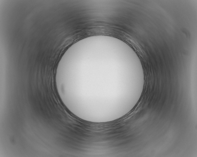 X0000113020333200908271039