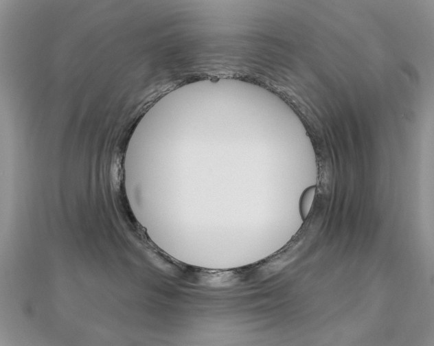 X0000113020334200908271039