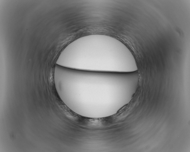 X0000113020335200908271039