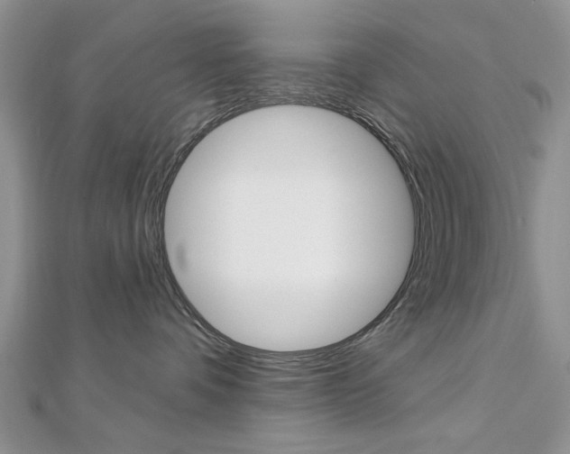 X0000113020336200908271039