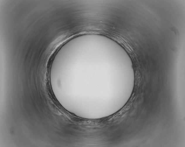 X0000113020338200908271038