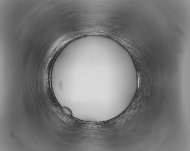 X0000113020339200908271038