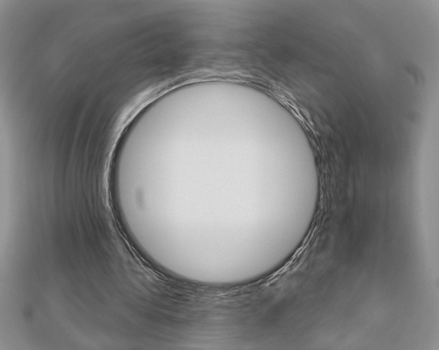 X0000113020340200908271038