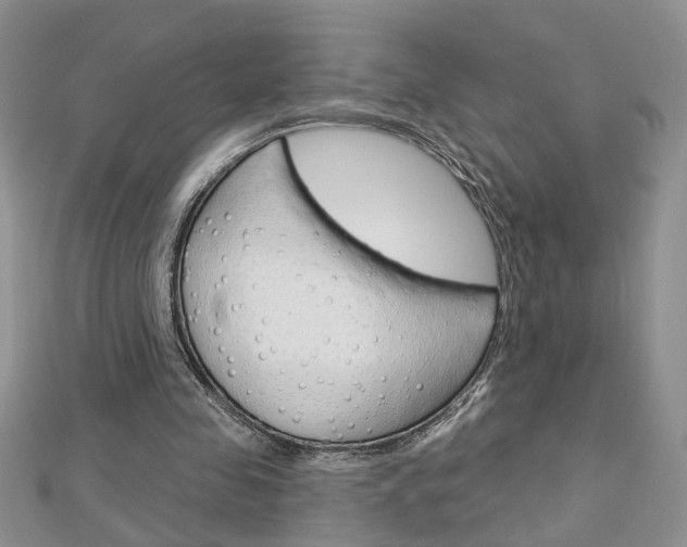 X0000113020341200908271038