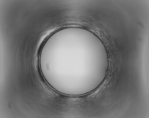 X0000113020342200908271038
