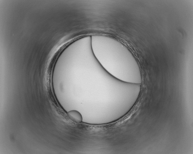X0000113020343200908271038