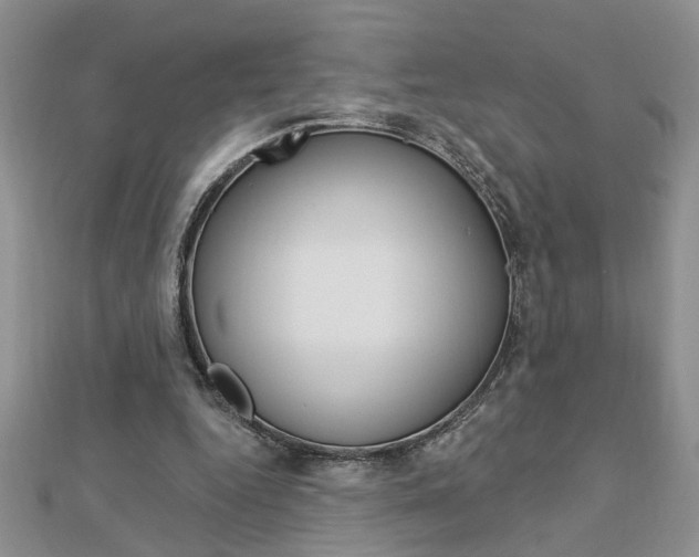 X0000113020344200908271038
