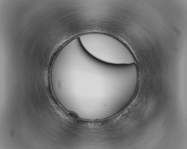 X0000113020345200908271038