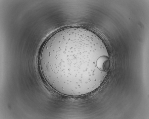 X0000113020346200908271038