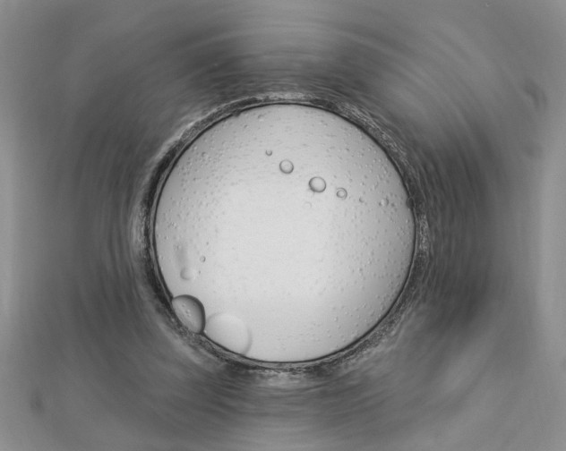 X0000113020347200908271038