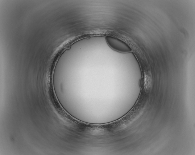 X0000113020348200908271038
