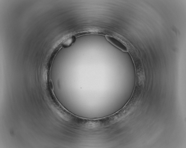 X0000113020350200908271038