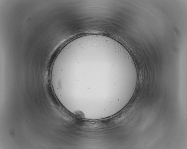 X0000113020351200908271038