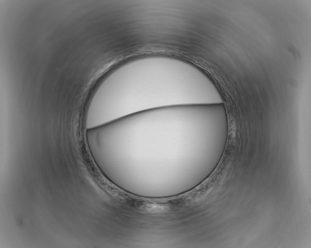 X0000113020352200908271038