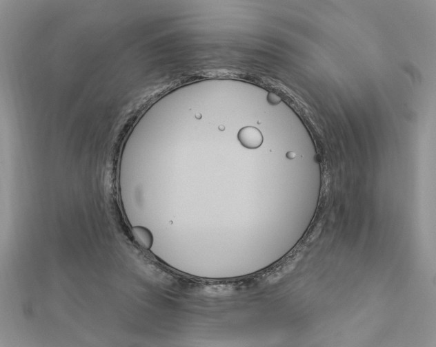 X0000113020353200908271038