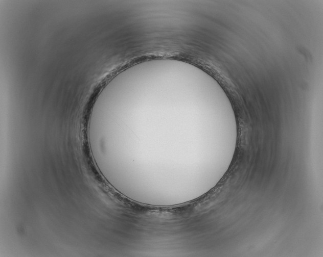 X0000113020354200908271039