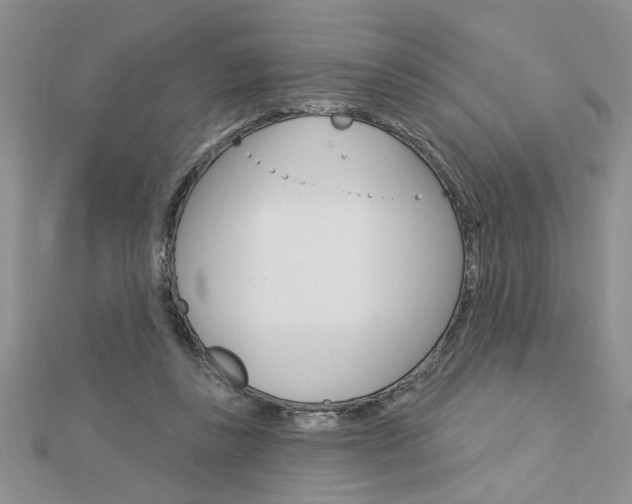 X0000113020355200908271039