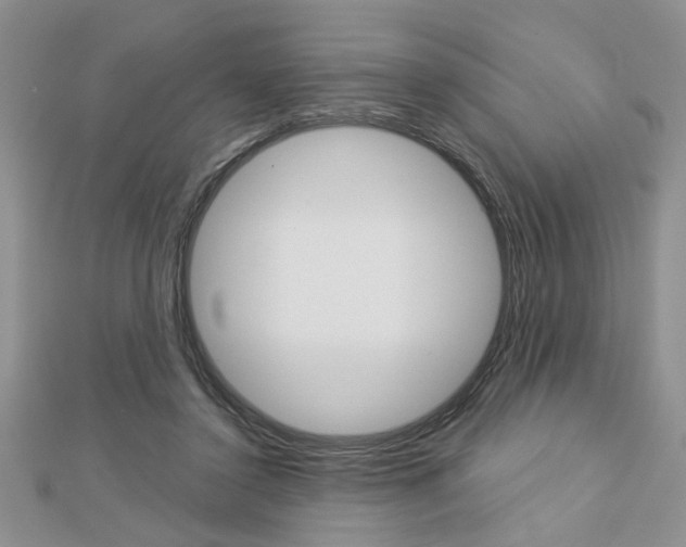 X0000113020356200908271039
