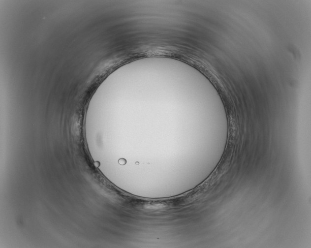 X0000113020357200908271039