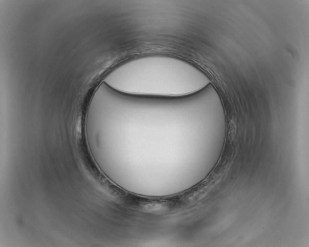 X0000113020358200908271039