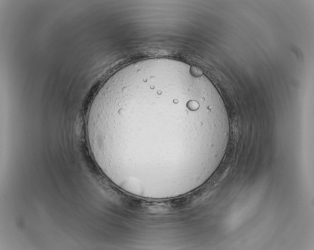X0000113020359200908271039