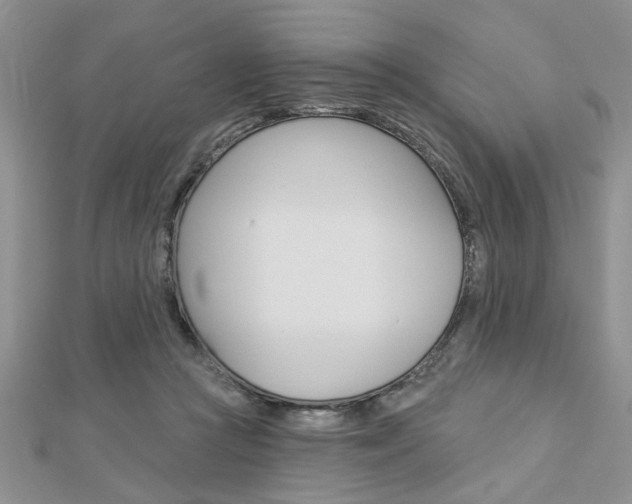 X0000113020361200908271039