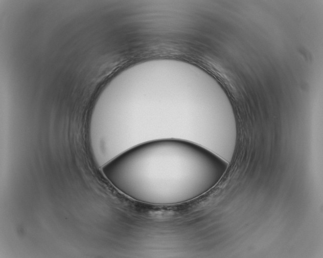 X0000113020362200908271039