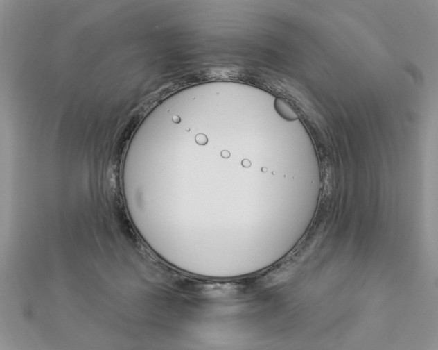 X0000113020363200908271039