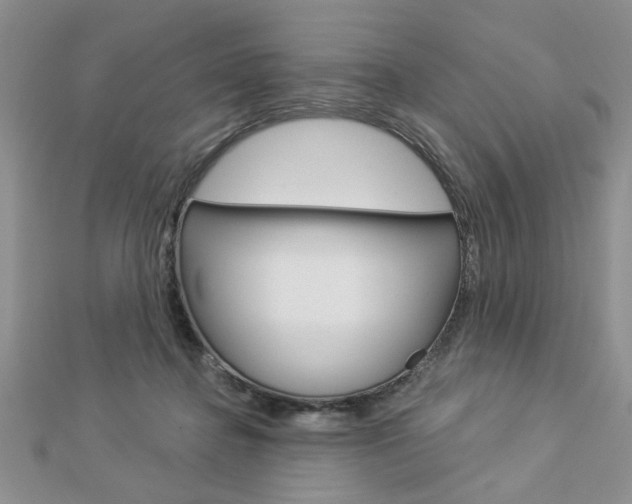 X0000113020364200908271039