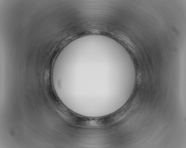 X0000113020365200908271039