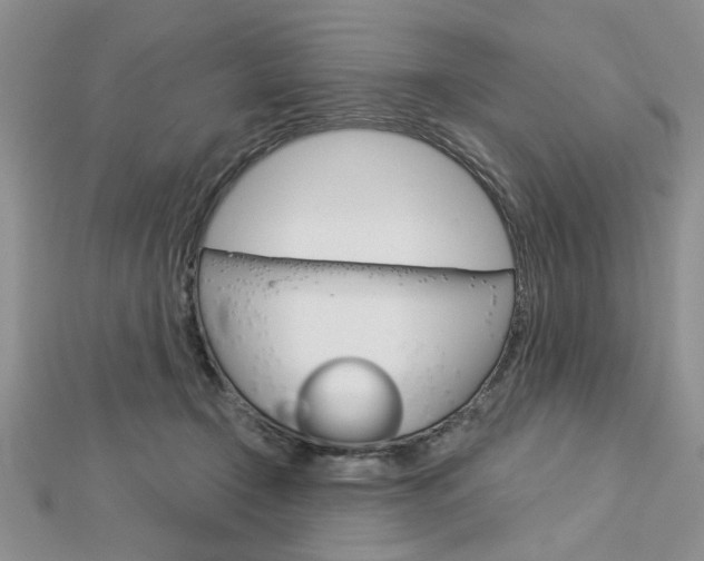 X0000113020366200908271039