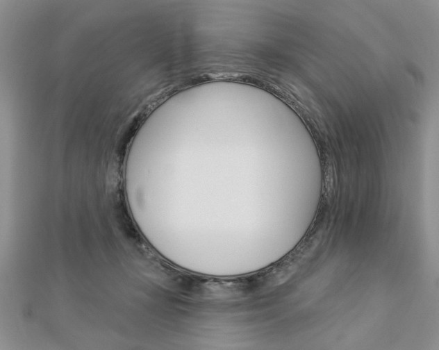 X0000113020367200908271039