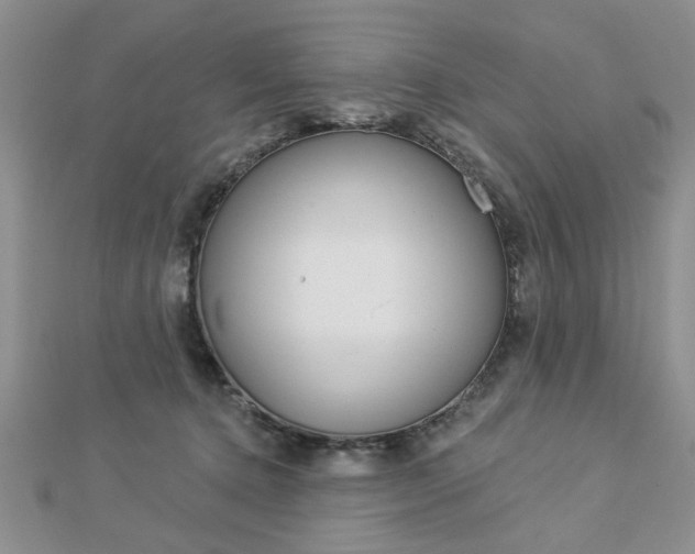 X0000113020368200908271039