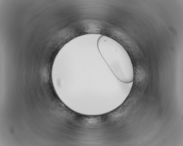 X0000113020370200908271039