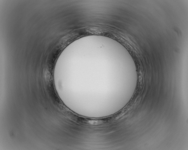 X0000113020371200908271039