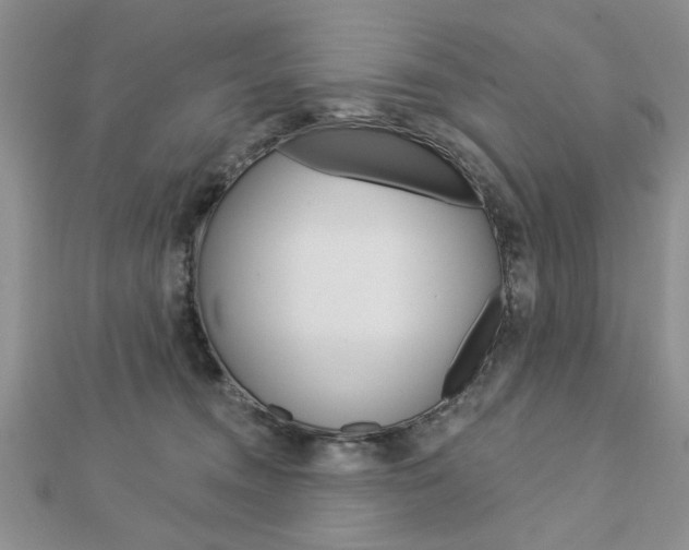 X0000113020372200908271039
