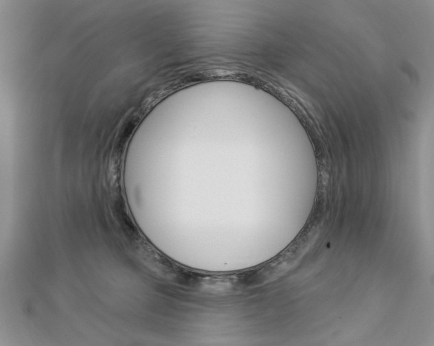 X0000113020373200908271039