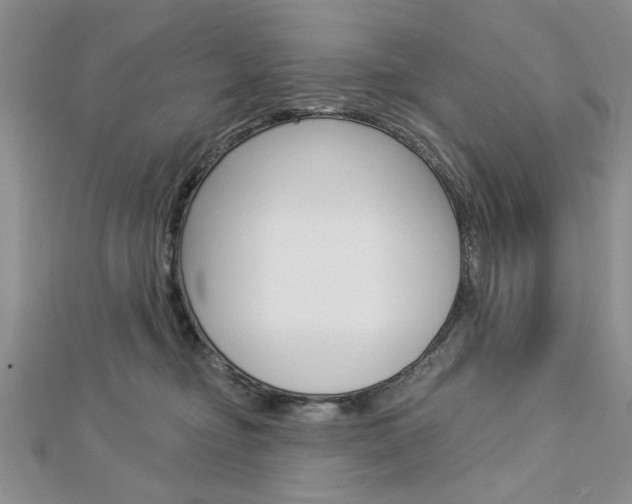 X0000113020374200908271039