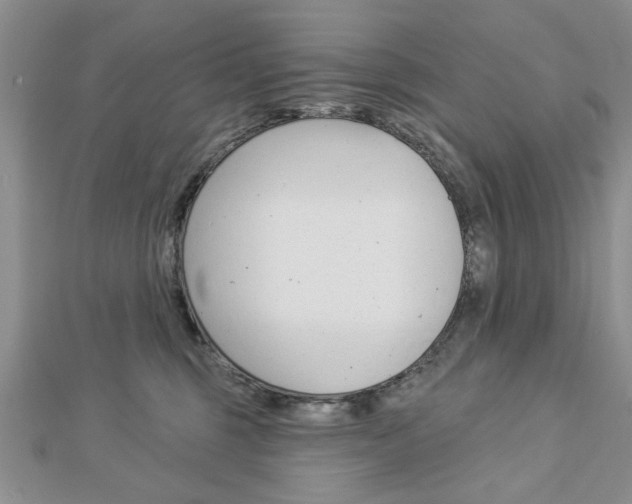 X0000113020375200908271039