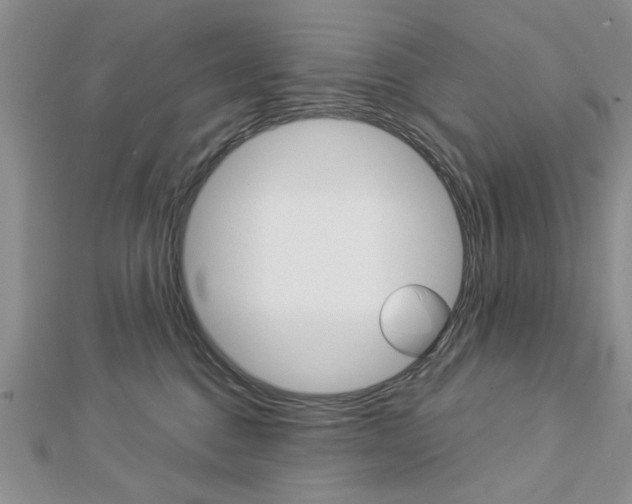 X0000113020376200908271039