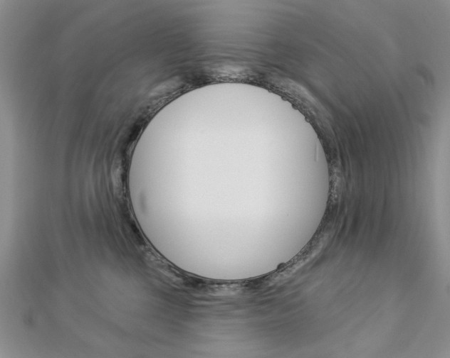 X0000113020377200908271039