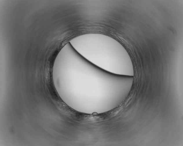 X0000113020379200908271039
