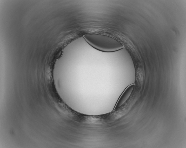 X0000113020380200908271039
