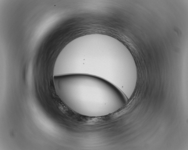X0000113020382200908271039