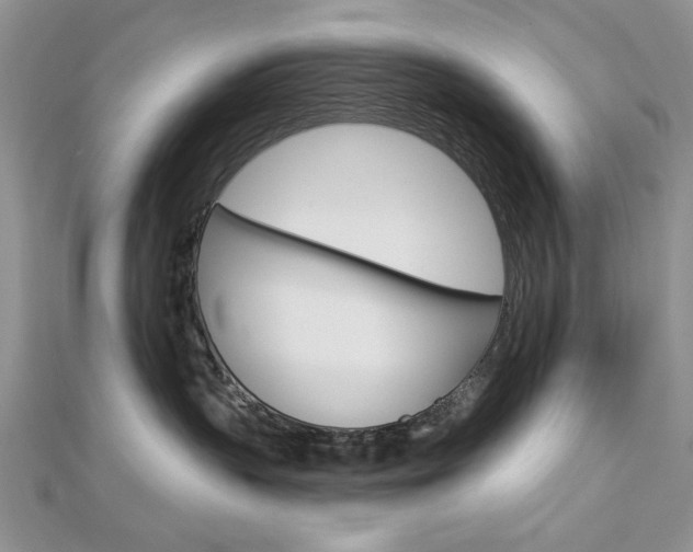 X0000113020383200908271039